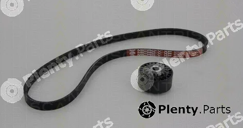 Triscan 864225005 — V-Ribbed Belt Set