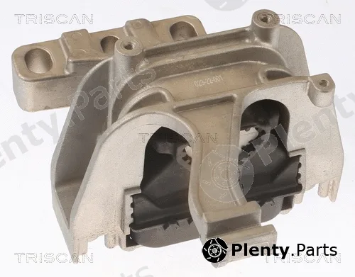 Triscan 850529117 — Mounting, engine