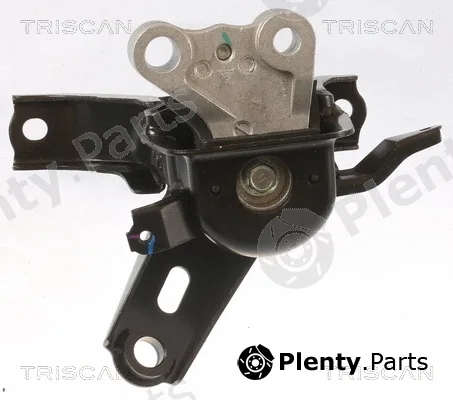 Triscan 850513101 — Mounting, engine