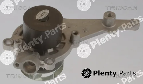 Triscan 860029100 — Water Pump, engine cooling