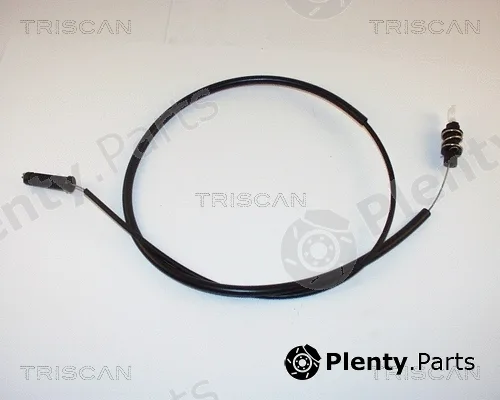 Triscan 814038317 — Accelerator Cable