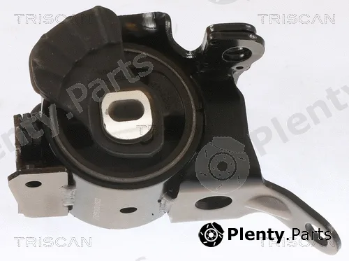 Triscan 850550100 — Mounting, engine