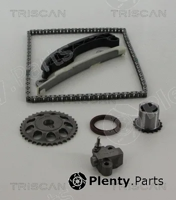 Triscan 865010011 — Timing Chain Kit