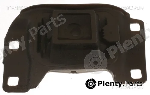 Triscan 850510201 — Mounting, engine