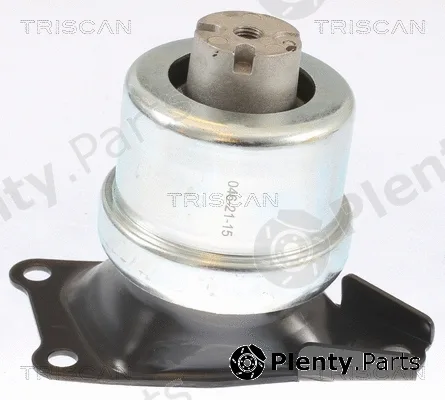 Triscan 850529186 — Mounting, engine