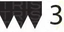 Triscan 8640300495 — V-Ribbed Belt