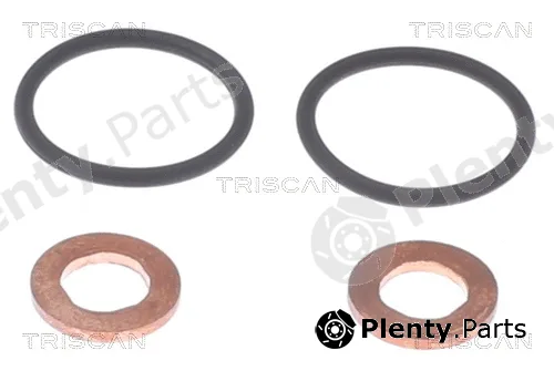Triscan 596-1005 — Seal Kit, injector nozzle