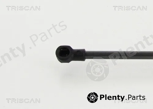 Triscan 8710292101 — Gas Spring, boot/cargo area
