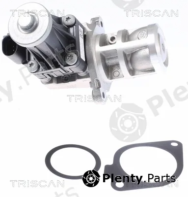 Triscan 881310032 — EGR Valve