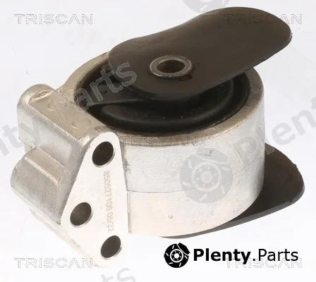 Triscan 850527106 — Mounting, engine