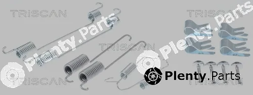 Triscan 8105162581 — Accessory Kit, brake shoes