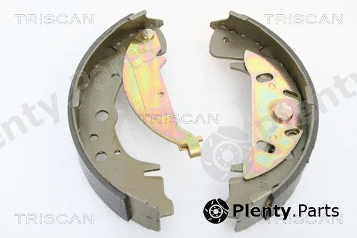 Triscan 810010003 — Brake Shoe Set