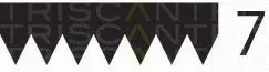 Triscan 8640702060 — V-Ribbed Belt
