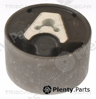 Triscan 850528110 — Mounting, engine