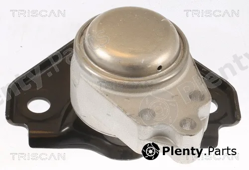 Triscan 850516119 — Mounting, engine