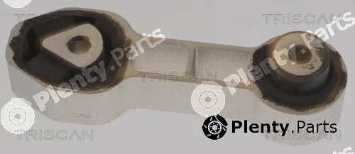 Triscan 850510132 — Mounting, engine