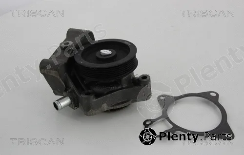 Triscan 860010031 — Water Pump, engine cooling