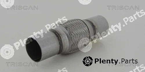 Triscan 700010014 — Flexible Pipe, exhaust system