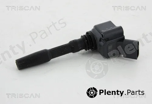 Triscan 886029048 — Ignition Coil