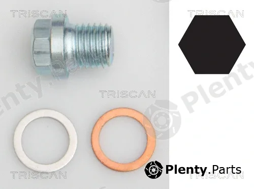 Triscan 95001011 — Screw Plug, oil sump
