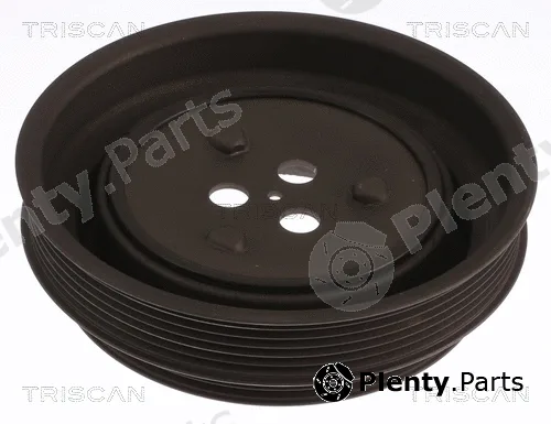 Triscan 864310021 — Belt Pulley, crankshaft
