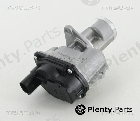 Triscan 881329065 — EGR Valve