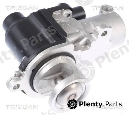 Triscan 881329338 — EGR Valve