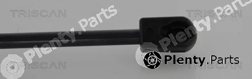 Triscan 871014248 — Gas Spring, boot/cargo area