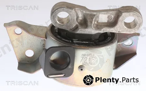 Triscan 850524113 — Mounting, engine