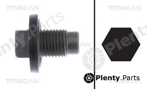 Triscan 95001021 — Screw Plug, oil sump