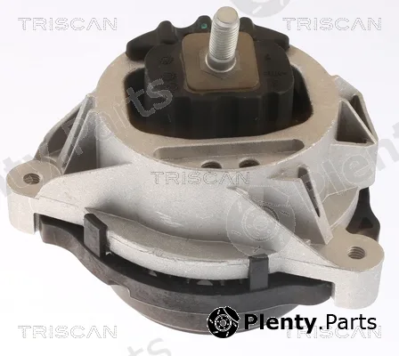 Triscan 850511109 — Mounting, engine