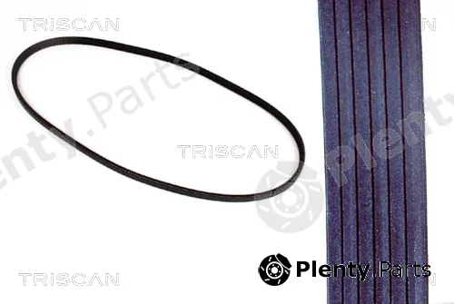 Triscan 8640601175 — V-Ribbed Belt