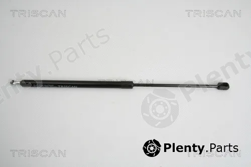 Triscan 871029278 — Gas Spring, boot/cargo area