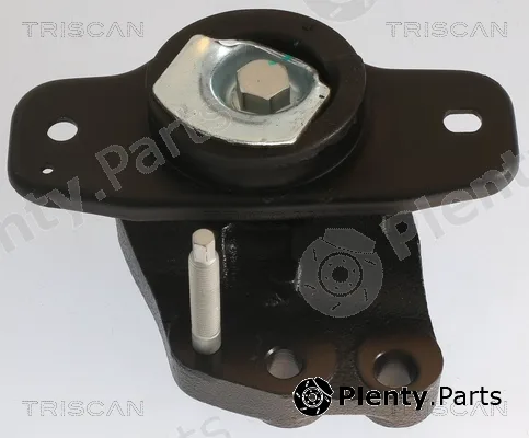 Triscan 850510128 — Mounting, engine