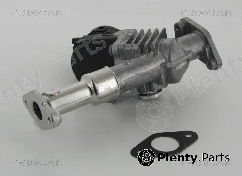 Triscan 881311006 — EGR Valve