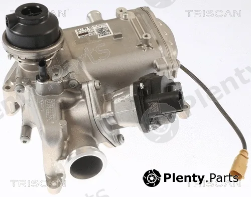 Triscan 881329013 — EGR Valve
