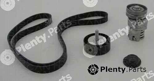 Triscan 864229024 — V-Ribbed Belt Set
