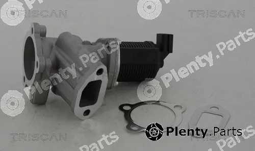 Triscan 881324012 — EGR Valve