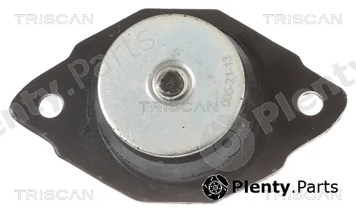 Triscan 850529161 — Mounting, engine