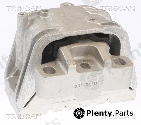 Triscan 850529121 — Mounting, engine