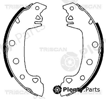 Triscan 810010230 — Brake Shoe Set