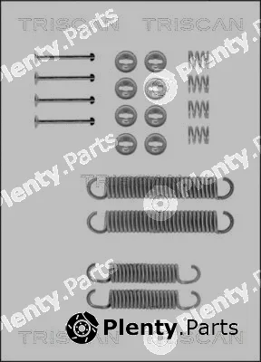 Triscan 8105702196 — Accessory Kit, brake shoes