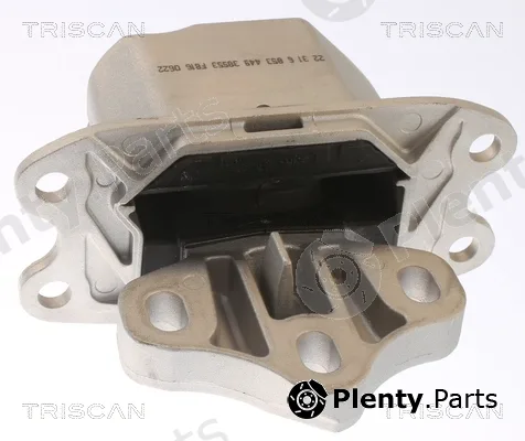 Triscan 850511120 — Mounting, engine