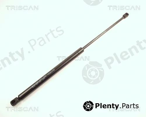Triscan 871016222 — Gas Spring, boot/cargo area