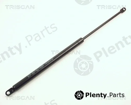 Triscan 87106501 — Gas Spring, boot/cargo area