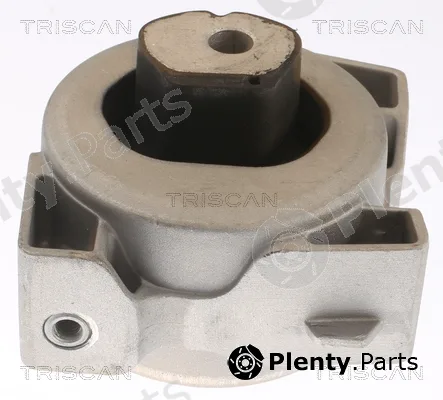 Triscan 850523104 — Mounting, engine