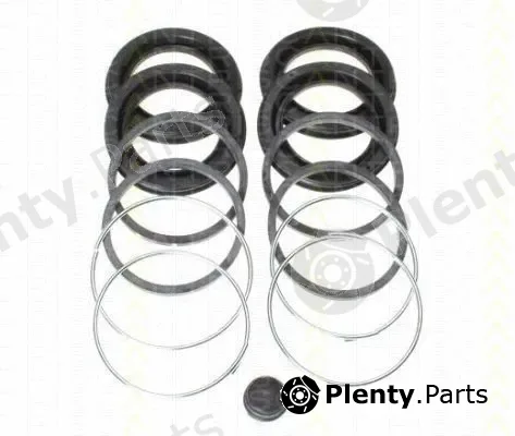 Triscan 8170204341 — Repair Kit, brake caliper