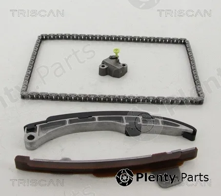 Triscan 865010013 — Timing Chain Kit
