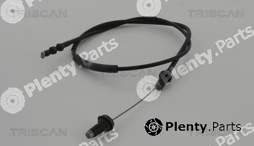 Triscan 814013301 — Accelerator Cable