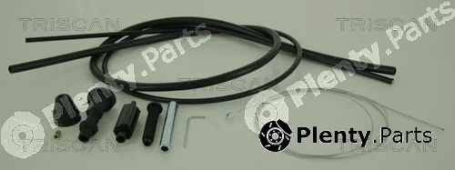 Triscan 814010308 — Accelerator Cable